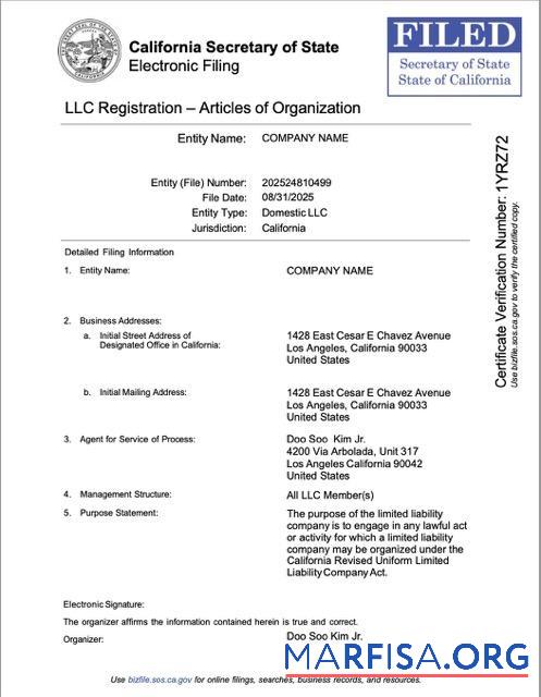 Downloadable USA California LLC registration Word and PDF template